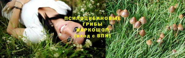 МДПВ Заволжье